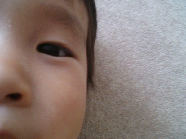 CA310008_3.JPG
