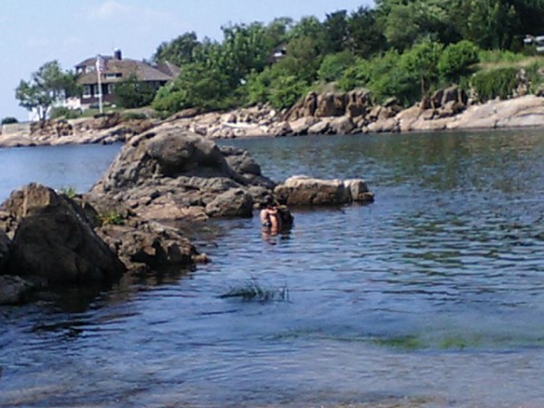 CA310223_3.JPG