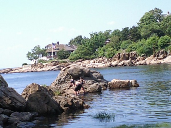 CA310224_2.JPG