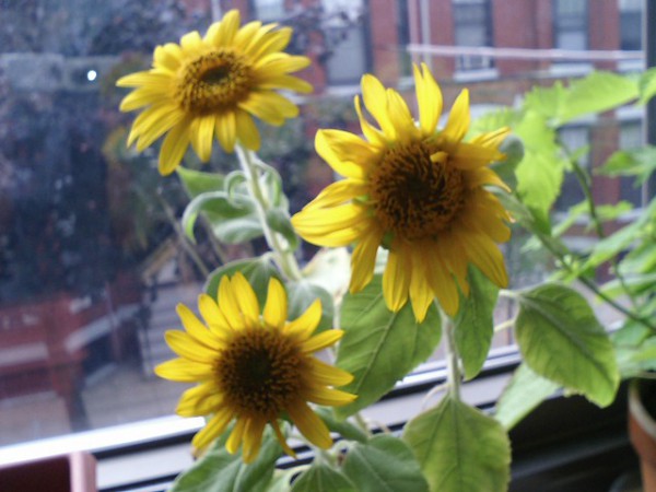 CA310272.JPG
